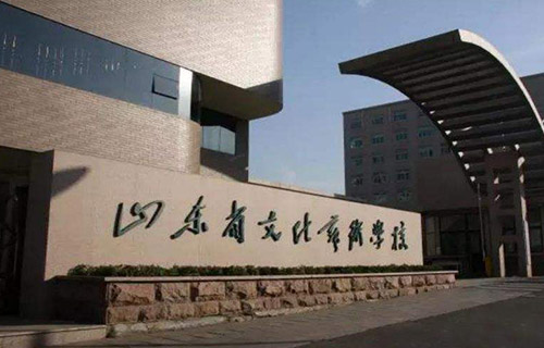 山东文化艺术学校